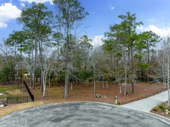 1578 Golden Marsh Court SE, Bolivia, NC 28422