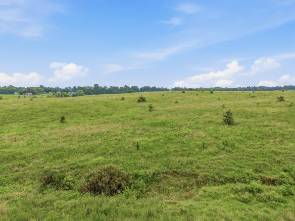 46 Caps Rd, Indian Mound, TN 37079