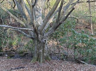 7 Snow Hill Falls Cir, Franklin, NC 28734