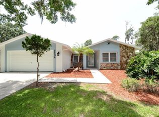 3804 Cloverhill Ct, Brandon, FL 33511