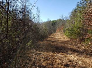 684 Grace Dr, Blue Ridge, GA 30513