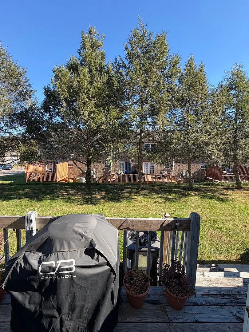 2 Bedroom 1.5 Bath — Photo 3