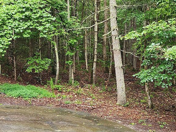 3rd image of 8 Enchanted Forest Ln