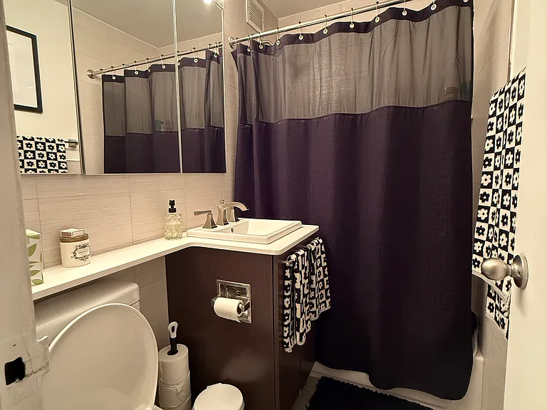 295 Park Ave S #9PHA — Photo 6