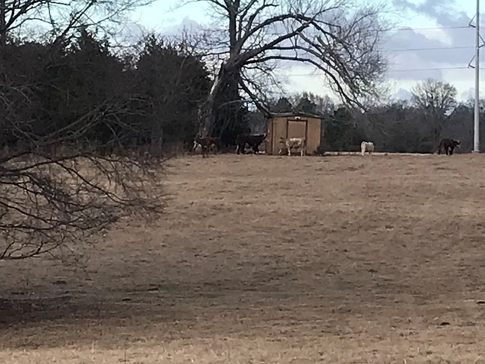 2nd image of 12105 Fm 607 S