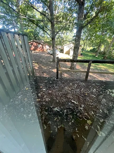 2 bed, $850 — Photo 2