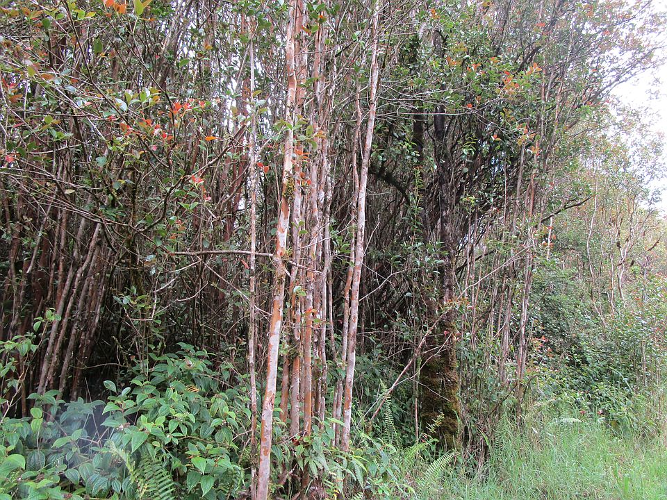 2nd image of Road 6 Lot 369