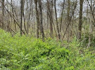 0 Old Walker Mill Rd LOT 2, Randleman, NC 27317