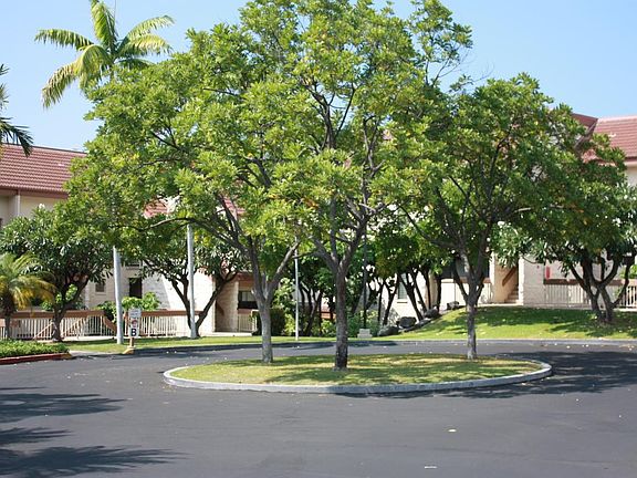 2nd image of 78-7070 Alii Dr APT B207