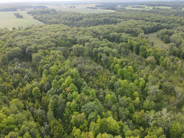 Cook Rd, Lachine, MI 49753