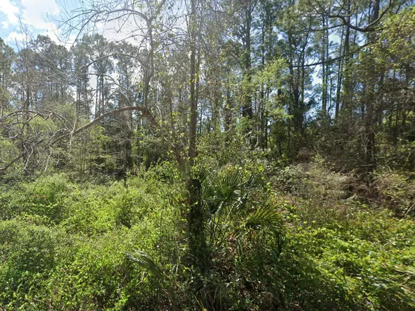 331 Redwood Blvd, Georgetown, FL 32139