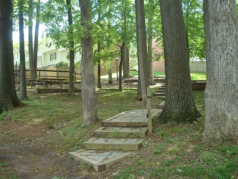 6525 Orono Ct — Photo 29