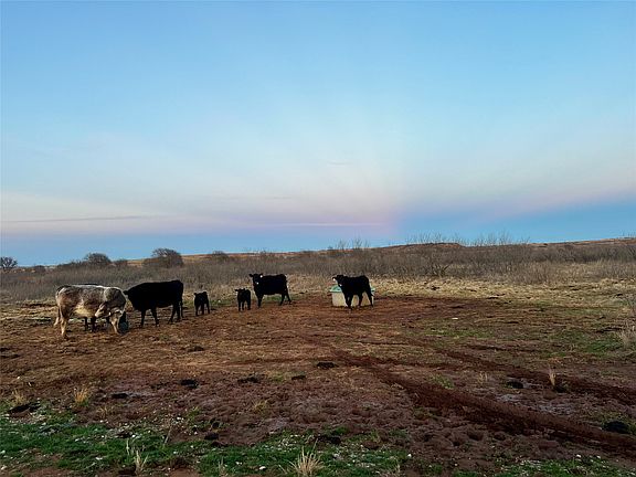 2nd image of 32 High Plains Trl