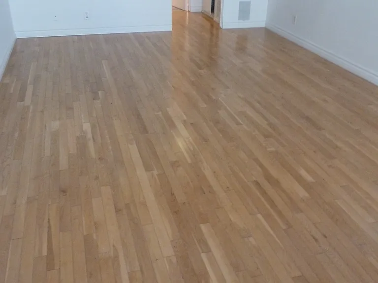 1022 2nd St #4 — Photo 9