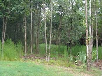 1st image of 50 Driftwood Dr