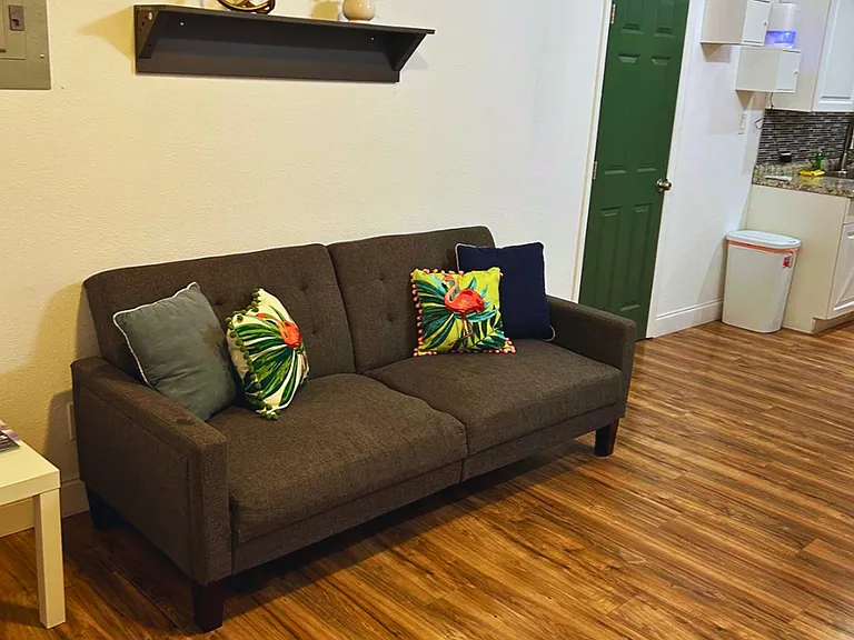 Studio with sofa bed, coffee table, natural light, and a decorative shelf.