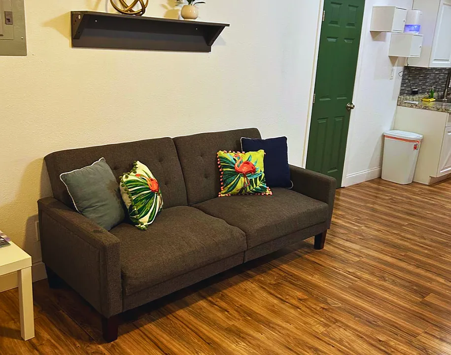 Studio with sofa bed, coffee table, natural light, and a decorative shelf.