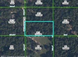 0 Wild Azalea Ln, Brooksville, FL 34601