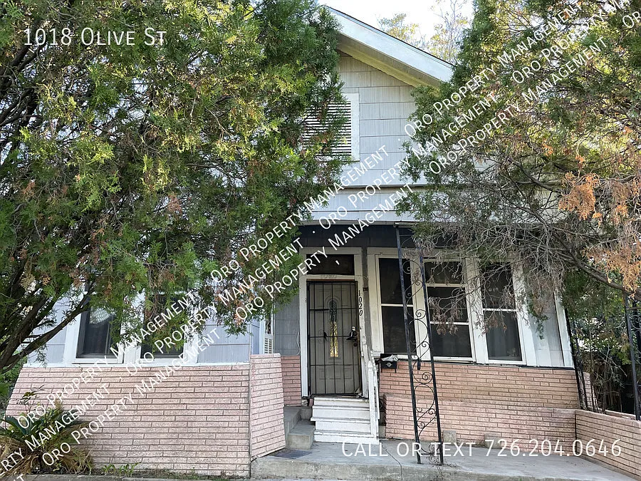 1018 Olive St — Photo 2