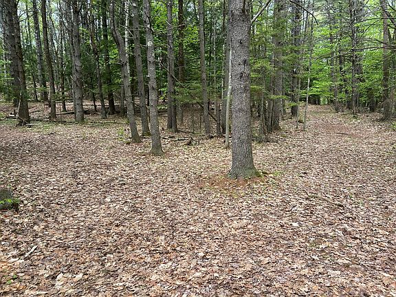 3rd image of 281 Randall Road