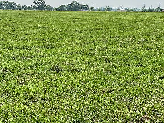 Street view looking south