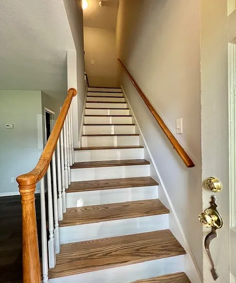 Willow Dr — Photo 21