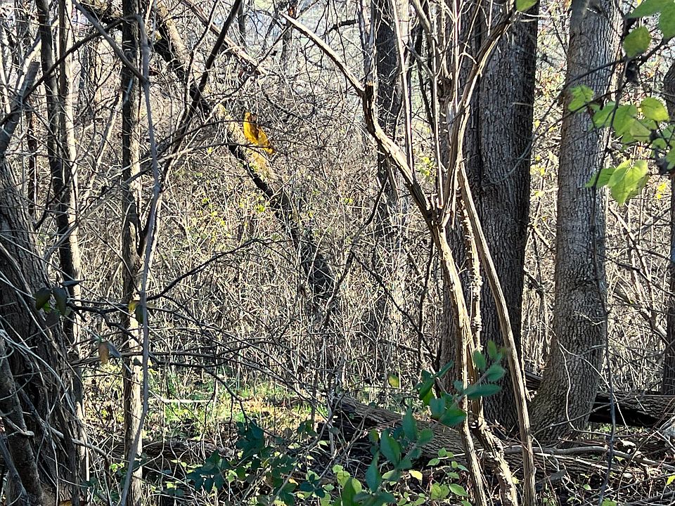 2nd image of Tbd Daniel Ln