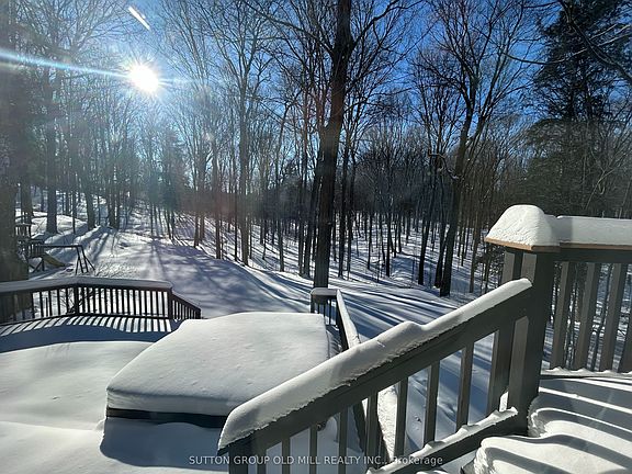 3rd image of 30 Big Tree Cir