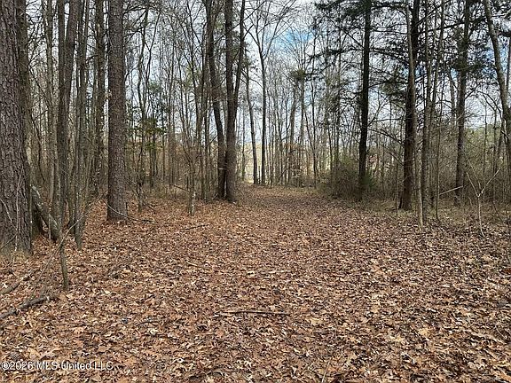 4th image of Barnes Rd