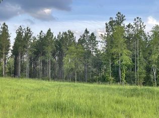 PARCEL Bill Lundy Rd #D, Laurel Hill, FL 32567