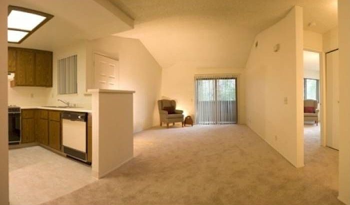 Dining & Living Room