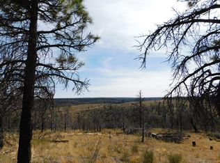 660 Eagle View Dr, Happy Jack, AZ 86024