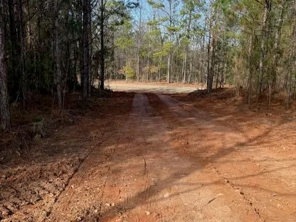 1737 Prospect Rd, Dadeville, AL 36853