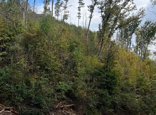 527 Deep Hollow Ct, Gatlinburg, TN 37738