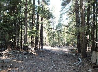 5300 Wildroot Dr, Clio, CA