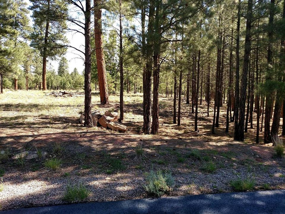 2nd image of 4523 Juniper Dr