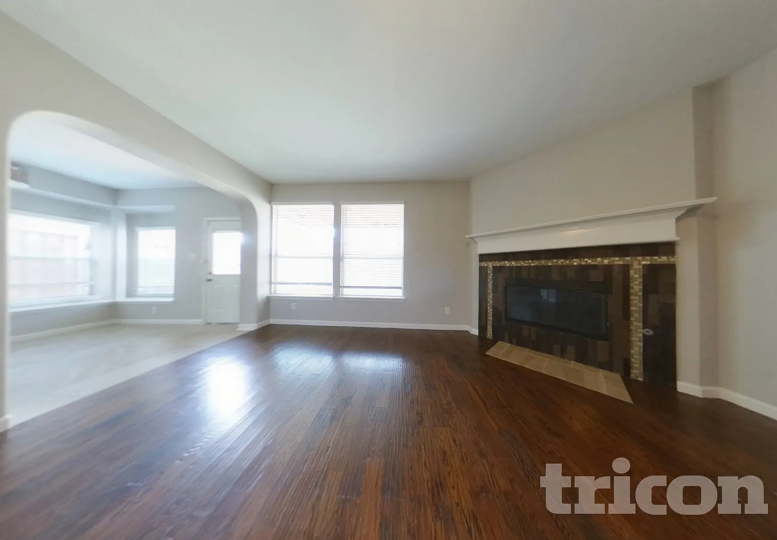 12069 Brownwood Dr Frisco TX — Photo 2