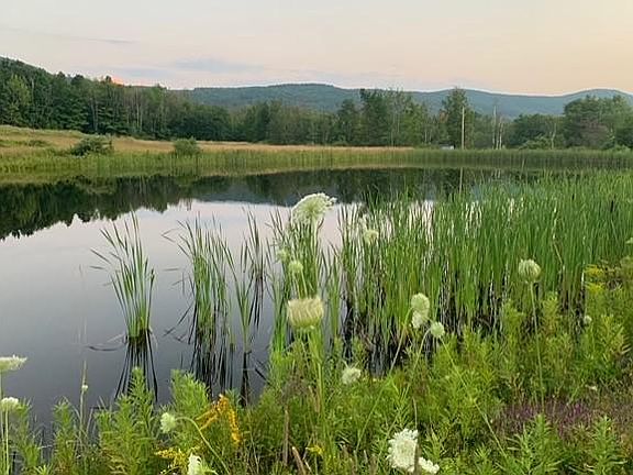 Pond across street with 2 mile walking path