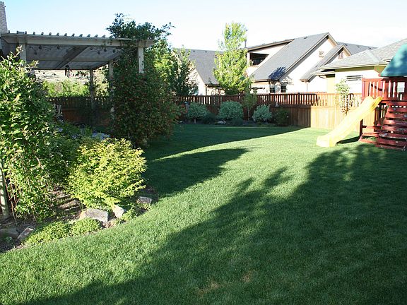 Back yard