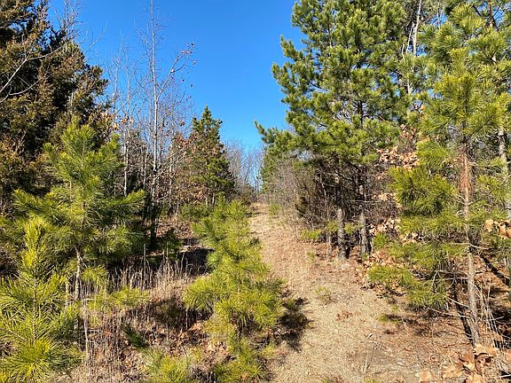 3rd image of Black Bear Bluff Blf