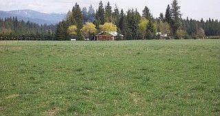 The House and Field