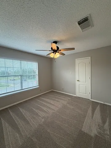 305 Stone Park — Photo 10