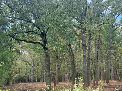 1413 Vanderbilt Dr, Tyler, TX, 75703