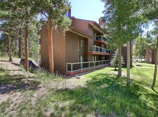 393 Wild Irishman Rd #1057, Dillon, CO 80435