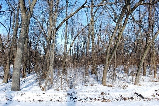 1st image of LOT 47 Island Dr