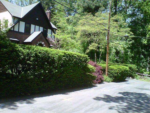 Front view next to woods