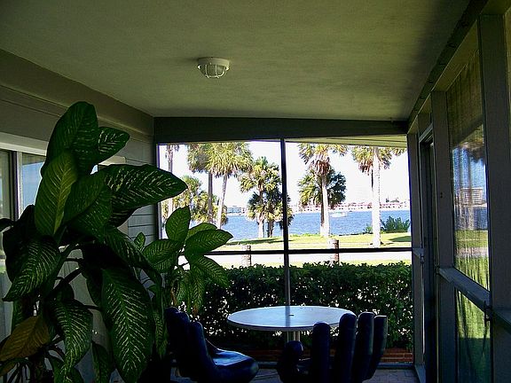 View From The Porch