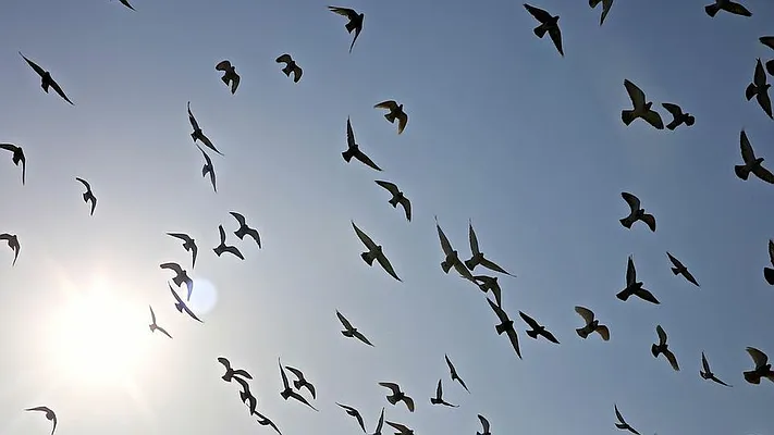 Rented by Nooklyn NYC LLC | media 28