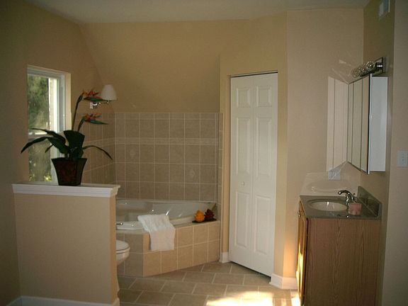 Open Master Bath/Master Bedroom Combo