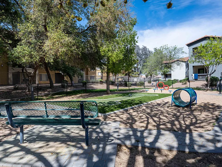 Dog Park Equipment